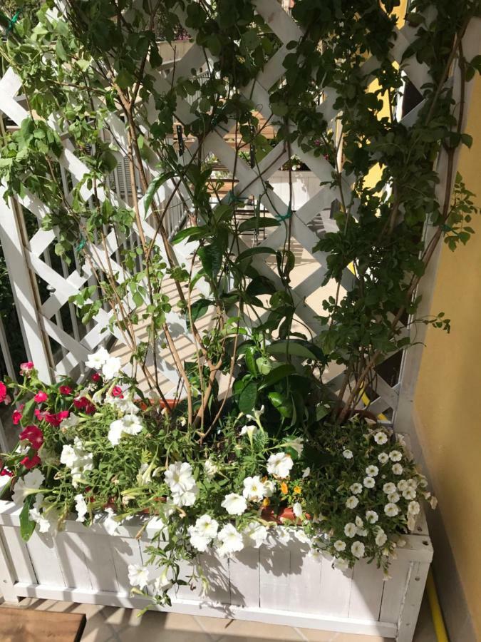 B&B Quasi in centro Agropoli Bagian luar foto